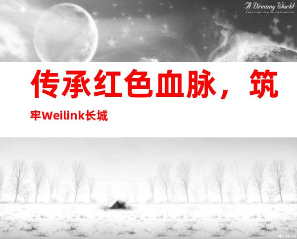 传承红色血脉，筑牢Weilink长城